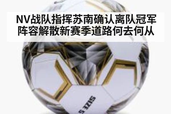 NV战队指挥苏南确认离队冠军阵容解散新赛季道路何去何从